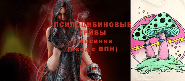 дмт Алзамай