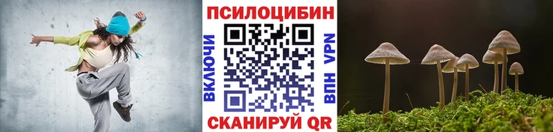 blacksprut как зайти  Павлово  Галлюциногенные грибы мицелий  цена наркотик 